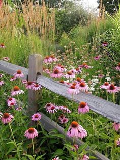 a wooden fence surrounded by lots of pink and white flowers in a garden with tall grass