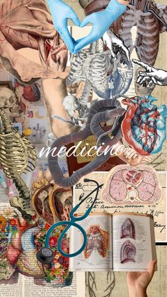 an image of medical collage with images