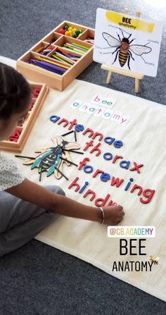 #montessori #homeschool #preschool #beeunit Montessori Homeschool Preschool, Bee Anatomy, Insect Unit Study, Montessori Works, Spring Kindergarten Activities, Tk Classroom, Montessori Home, Kindergarten Spring, Homeschool Montessori