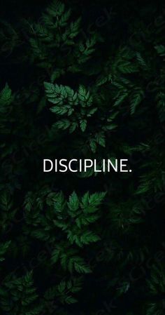 the word discipline is surrounded by green leaves and dark background with white lettering on it