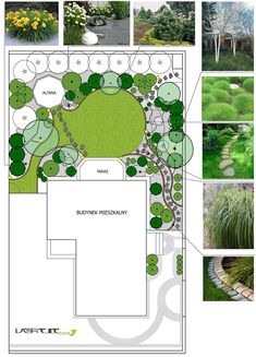 a garden design with lots of different types of plants and trees in it, including grass