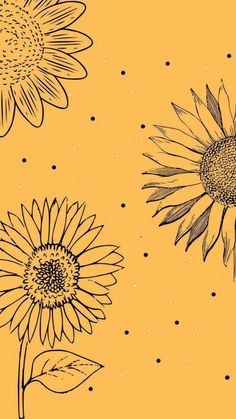 three sunflowers on an orange background with polka dots