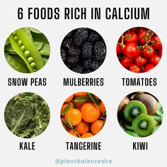 Foods Rich In Calcium, Calcium Foods, Increase Estrogen, Healthy Fats List, Health And Fitness Aesthetic, Vitamin Rich Foods, Game Room Home, Reading Quote