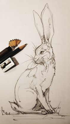 a pencil drawing of a rabbit sitting on the ground next to some crayons