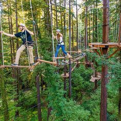 two people walking across a rope bridge in the forest with trees and ropes on both sides