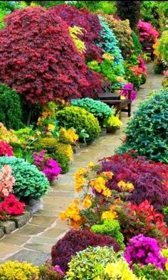 many different colored flowers and trees in a garden