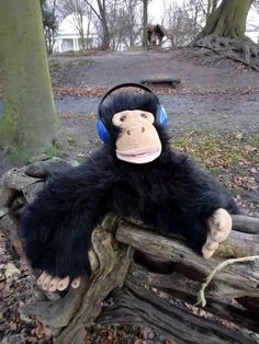 a stuffed monkey wearing headphones sitting on top of a tree branch in the woods