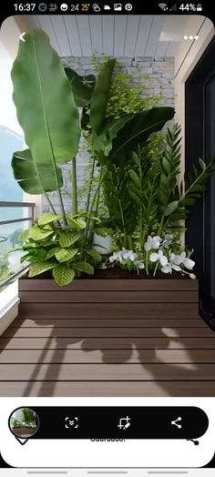 a planter filled with lots of green plants on top of a wooden floor