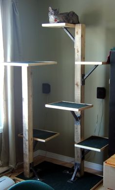 a cat sitting on top of a wooden shelf in a living room next to a window