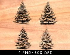 four pine trees with snow on them are shown in 4 different sizes and shapes, along with text that reads 4 png 300 dpi