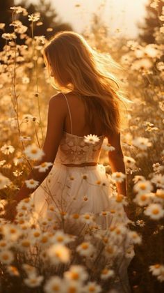 a woman in a field of daisies with her back to the camera, she is wearing a white dress