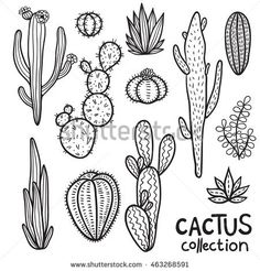 hand drawn cactus collection in black and white