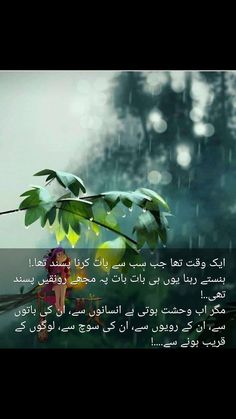 the rain is falling down and there are two flowers in front of it with arabic writing