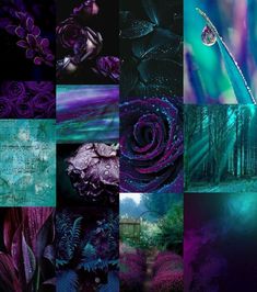 a collage of purple and blue images with flowers, plants, and other things