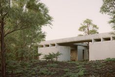 a concrete structure in the woods with trees around it