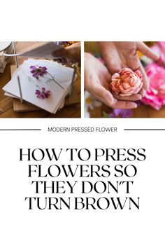 the words how to press flowers so they don't turn brown are shown in three different pictures