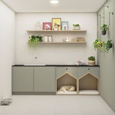 a dog bed in the middle of a room with shelves and plants on the wall