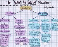 an image of a diagram with words on it and the caption below that reads, the ways to study flucthan