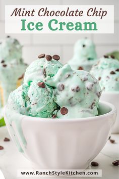 mint chocolate chip ice cream in a white bowl with chocolate chips on the side and text overlay that reads mint chocolate chip ice cream