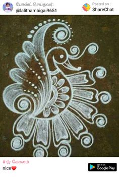 an image of a peacock drawn on the ground