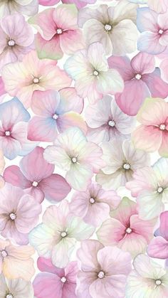 pink and white flowers are arranged in rows on a white background with watercolor effect