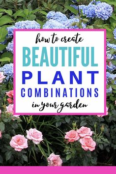 Plant Combinations: 10 Tips For Creating Flower Combinations That Work Perennials Low Maintenance, Easy Backyard Diy, Long Blooming Perennials, Easy Backyard, Perennial Shrubs, Shade Perennials