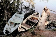 two canoes sitting on the shore next to a tree stump and water in front of them