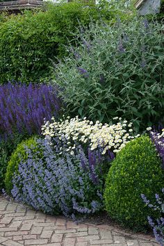 an assortment of different types of plants in a garden with cobblestone pavers