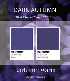 Soft Autumn Deep, Colour Season, Autumn Palette, Colour Analysis, Purple Color Palettes