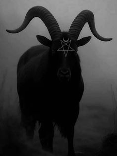 a horned animal with long horns standing in the fog