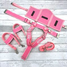 pink harnesses and leashes laid out on a wooden floor