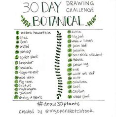 the 30 day drawing challenge is here to help you learn how to draw botanical plants