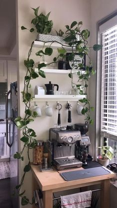 a coffee machine sitting on top of a wooden table next to a shelf filled with plants