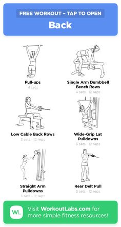 an exercise poster with instructions on how to do the back squats and pull ups