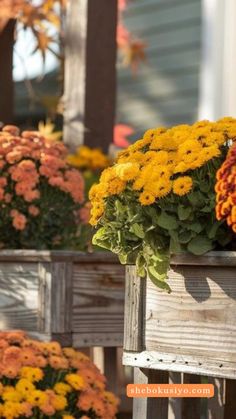 Want a warm and inviting fall porch? Try these simple decorating tips to turn your small space into a cozy retreat. Fall Porch Decorations, Simple Decorating, Small Front Porch