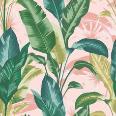 a pink and green wallpaper with tropical leaves