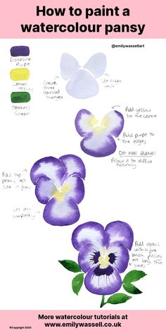 how to paint a watercolour pansy