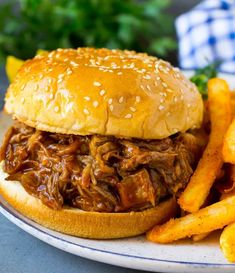 a pulled pork sandwich and french fries on a plate