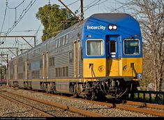 a blue and yellow train traveling down tracks next to some power lines with trees in the background