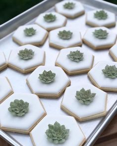 there are many small cookies with green flowers in them on the tray, and one is made out of icing