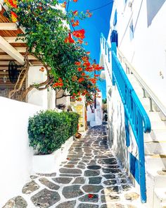 an alley way with flowers growing on it