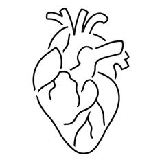 the human heart is drawn in black and white on a white background, it looks like an outline