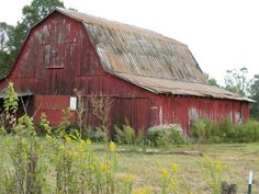 an old red barn sits in the middle of a field with tall grass and weeds