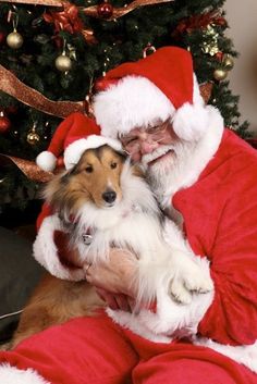 a man dressed as santa claus holding a dog in his lap next to a christmas tree