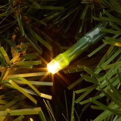 a green bottle sitting on top of a tree