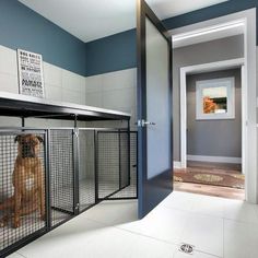 a dog sits in its kennel at the entrance to an apartment with blue and white walls