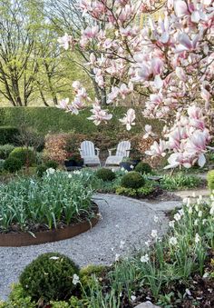 the garden is full of beautiful flowers and plants, including pink tulips in bloom