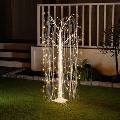 White Willow Tree W/ 216 Warm White LEDs - 4 Feet High HI-LINE GIFT LTD. Tree Indoor, Diy Christmas Lights, Christmas House Lights, Willow Branches, Black Christmas Trees, Outdoor Christmas Lights, Indoor Christmas Decorations, Willow Tree, Christmas Display