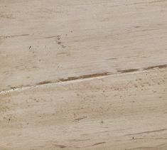 a bird sitting on top of a wooden bench