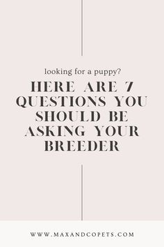 the words, looking for a puppy? here are 7 questions you should be asking your breeder